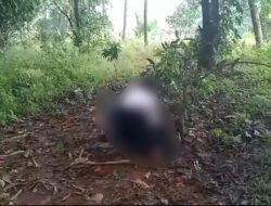 Video Bully Pelajar Depok, 2 Siswi SMP Depok Diamankan Polisi