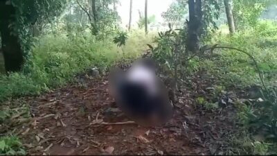 Video Bully Pelajar Depok, 2 Siswi SMP Depok Diamankan Polisi