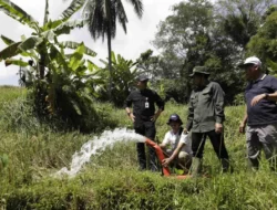 Produksi Beras Naik di Tengah El Nino, Program Pompanisasi Kementan Dinilai Berhasil