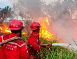 Kebakaran Hutan dan Lahan masih Muncul di 4 Kabupaten di Jawa Barat