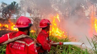 Kebakaran Hutan dan Lahan masih Muncul di 4 Kabupaten di Jawa Barat