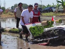 Kementan Bentuk Posko untuk Pantau Pompanisasi Pertanian