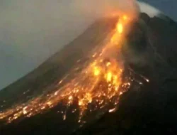 Guguran Lava Dilaporkan Meluncur dari Gunung Merapi