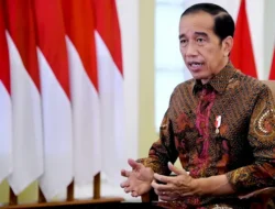 Presiden Jokowi Gelar Sidang Kabinet di IKN, Pekan Depan