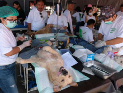 Cegah Rabies, Pemprov Bali Kerahkan Tim Siaga Rabies