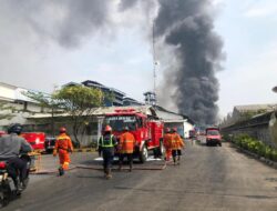 Kebakaran di Pabrik Pakan Ternak PT Jati Perkasa Nusantara, 9 Korban Meninggal dan 3 Luka