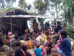 Pemuda Katolik Minta Panglima TNI Menghentikan Operasi Militer di Pegunungan Bintang