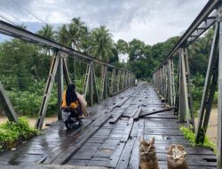 Jembatan Mamala Terbengkalai Bertahun-Tahun, Ancaman Nyata bagi Keselamatan dan Ekonomi Warga